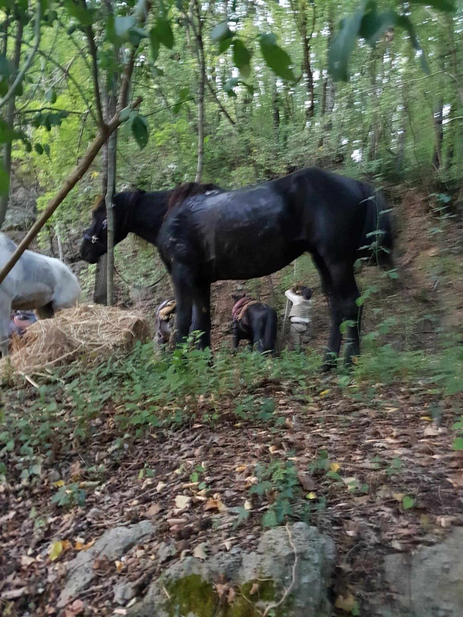 La Miniera